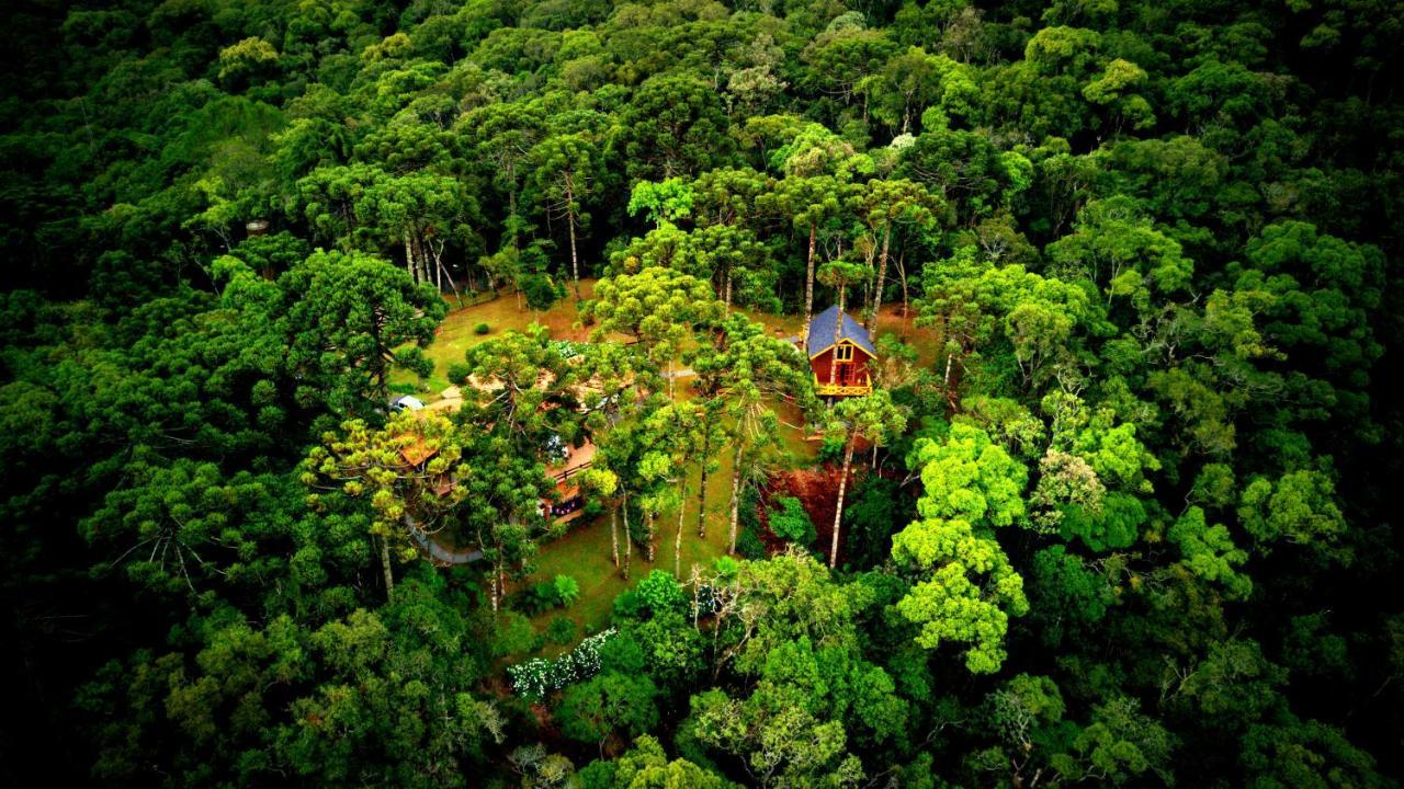 Hotel Pousada Paraiso Das Araucarias Monte Verde  Exterior foto