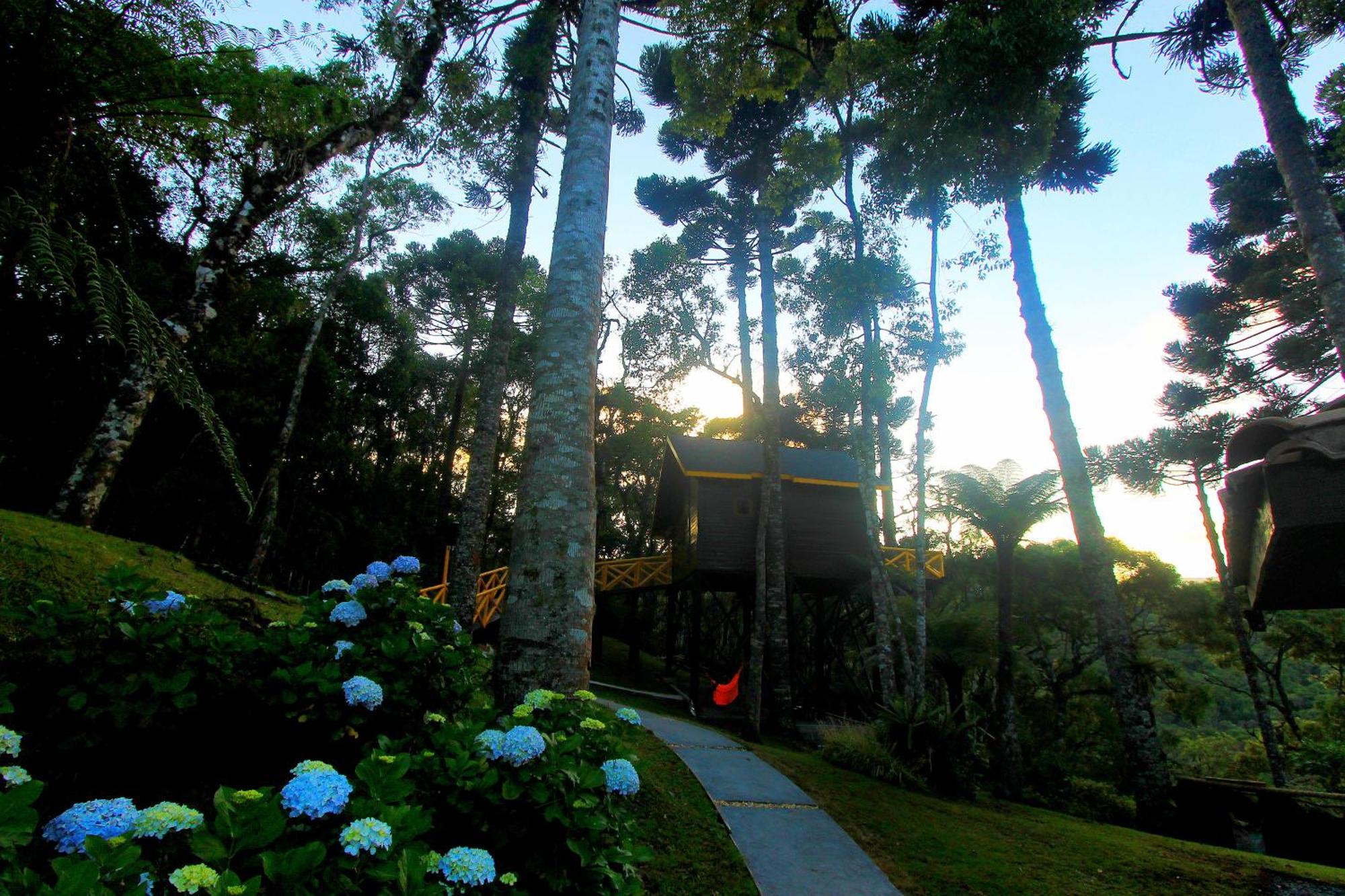 Hotel Pousada Paraiso Das Araucarias Monte Verde  Exterior foto