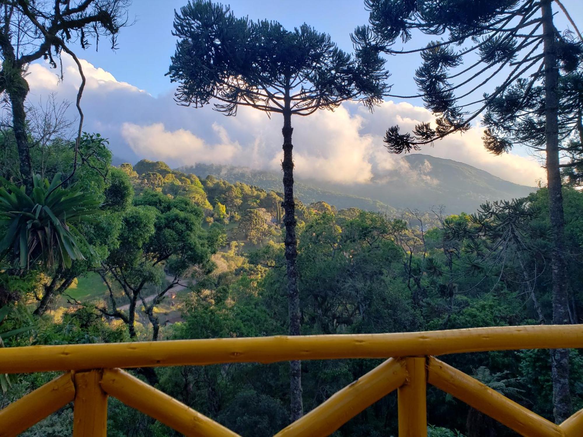 Hotel Pousada Paraiso Das Araucarias Monte Verde  Exterior foto